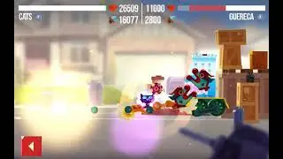 Cats crash arena turbo stars fight (8)