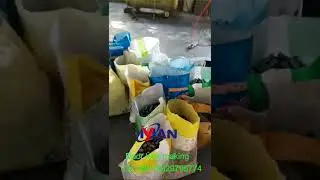 Ball lock manufacturing die lock punching mold