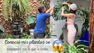 Vino a visitarme, se enamoro de las plantas y me ayudo a limpiarlas