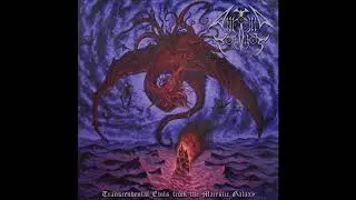 ANCIENT COSMOS - Galaxy's Guardian