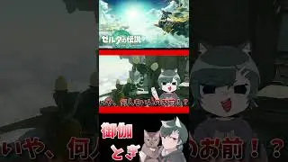 ゼル伝初心者が英雄になったあとの物語  10 #shorts #short #ゲーム #ゼルダの伝説