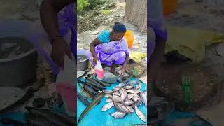 LIVE SNAKEHEAD FISH |SNAIL 🐌 BUYING | #shorts #shorts #viral #trending
