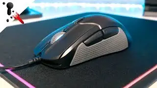 Обзор SteelSeries Rival 310 (большой, оптический, 92 г, Omron Mech)