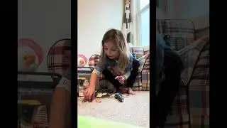 Must have vet toy ! Lila rose reviews top bright doctor kit
