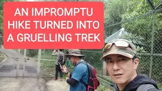 DAWAIPANI TREK || DARJEELING TRAILS - EP 1