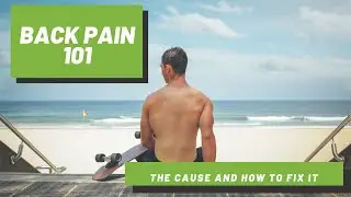 Back Pain 101: The Cause  and How to Fix It