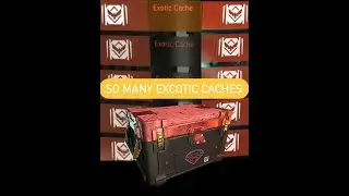 SO MANY EXOTIC CACHES ll THE DIVISION 2