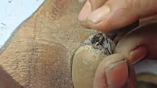 The Krishna Minimalist Making Of Ring Smokey Quartz,
