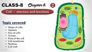 CLASS 8 || Chapter-8. Cell &mdash; structure and functions | Lecture 2 || NCERT Science