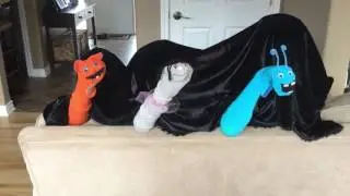 Netflix puppet show...jokes for kids
