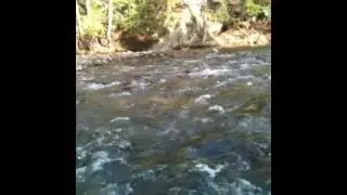 Ausable River