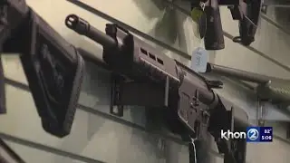 Hawaii assault weapons ban: Necessary or posturing?