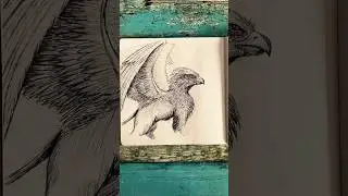 Is it griffin, griffon or gryphon? #creaturedesign #drawing #gryphon #griffin #art #shorts