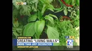 Creating Living Walls with Jim Mumford
