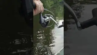 When you think its a giant fish! #shorts #fishing #fish #shortsviral #shortsfeed