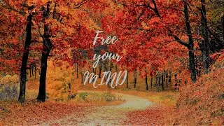 Uniq - Art Of Silence  |   Free your MIND