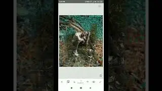 #shorts picsart editing colour grading snapseed editing#viralshorts chand sitare #janu editor 138