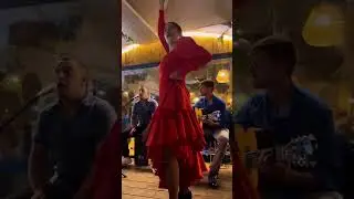 Flamenco dance company Costa Brava Live music Show for events