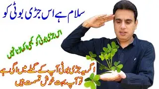 Salute to this weed | If this weed is growing in your pot, you are very lucky.