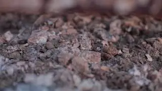 La Parrilla de Getaria - Getariako Parrilla