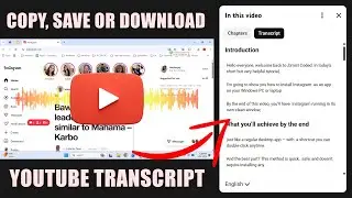 Download YouTube Transcripts DIRECTLY Without Any Tools?