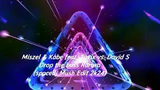 Miszel & Kabe feat. Toxic vs. David S - Drop the bass Rarara(spacedj Mush Edit 2k24)