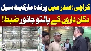 Karachi Bird Market Sealed | Pets Confiscated by Authorities | Saddar Incident - Aaj Pakistan News