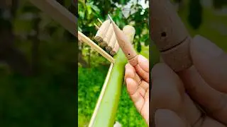 Bamboo Creations Boom Boom ! #diy #bamboo #shorts