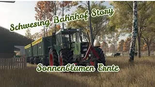 🌻Sonnenblumen Ernte mit Vorführ Mähdrescher🌻[LS25] Schwesing Bahnhof Story #8