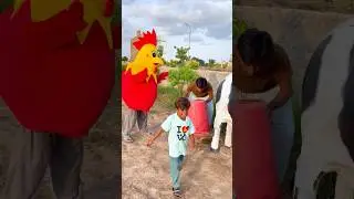 cow 🐄 videos 📸😂 new