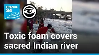 India: The Yamuna, a sacred river, in a state of 'ecological death' &bull; The Observers - France 24