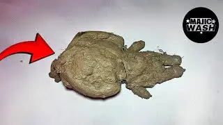Original sound, no filter. Cleaning a mud-covered plush toy.#asmr  #cleaning  #Satisfying #Relaxing