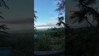 Daintree Forest, Queensland. #onlyinaustralia  Mount Alexandra Lookout,  Walu Wugirriga