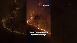 Animal Agriculture & California&rsquo;s Inferno