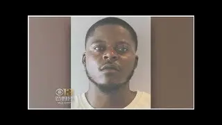 Man acquitted in fatal Baltimore firebombing case Tiger Time!!