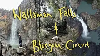 MOST IMPRESSIVE waterfall and our FAVOURITE hike in the Paluma National Park