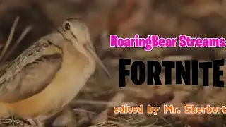 The Great Dafoe Debate | RoaringBear Streams Fortnite