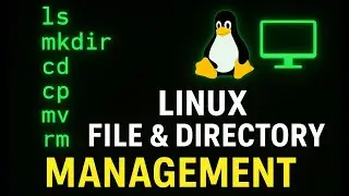 Управление файлами и каталогами в Linux | ls, mkdir, cd, cp, mv, rm: объяснение на примерах из ре...