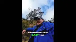 Burramoko Ridge | Hangling Cliff in Blue Mountains