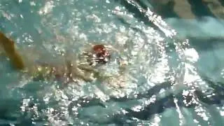 蝶式25M (Swim Butterfly stroke 25M by a 5 Years old girl)