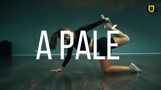 ROSAL&Iacute;A - A Pal&eacute;  || BAD B choreography