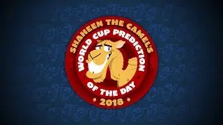 Shaheen the World Cup predicting camel is back