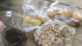 medang dulu
