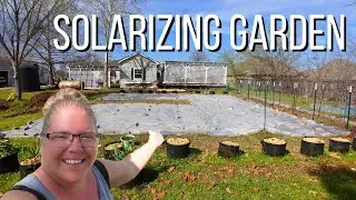 Transform Your Garden with Solarization Technique