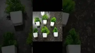 unboxing of product of meesho#AKP 6-Piece Realistic Artificial Plant Set for Home Decor and Living