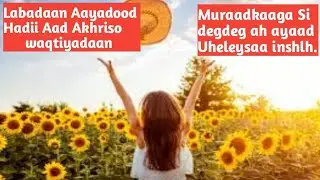 Labadaan Aayadood Hadii Aad Akhriso waqtiyadaan muraadkaaga si degdeg ah ayaad uheleysaa inshlh.