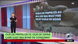 Ouă de prepeliţă versus ouă de găină | Care sunt mai bune pentru consum