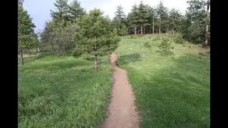 Two Dog Trail