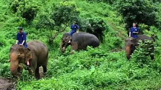 The Best Places in Thailand!
