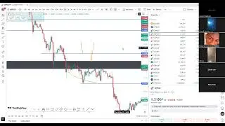 The Secret In Forex For Beginners